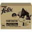Felix Fantastic Selecciones Favoritas de Carnes en Gelatina sobre para gatos – Multipack 120, , large indicador imagen numero 1